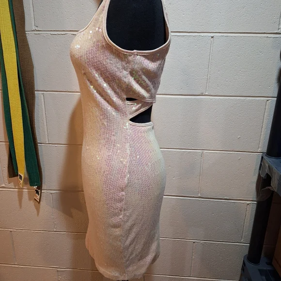 Iridescent Pink Sequin Bodycon Mini Dress-Cute Back - Picture 5 of 14